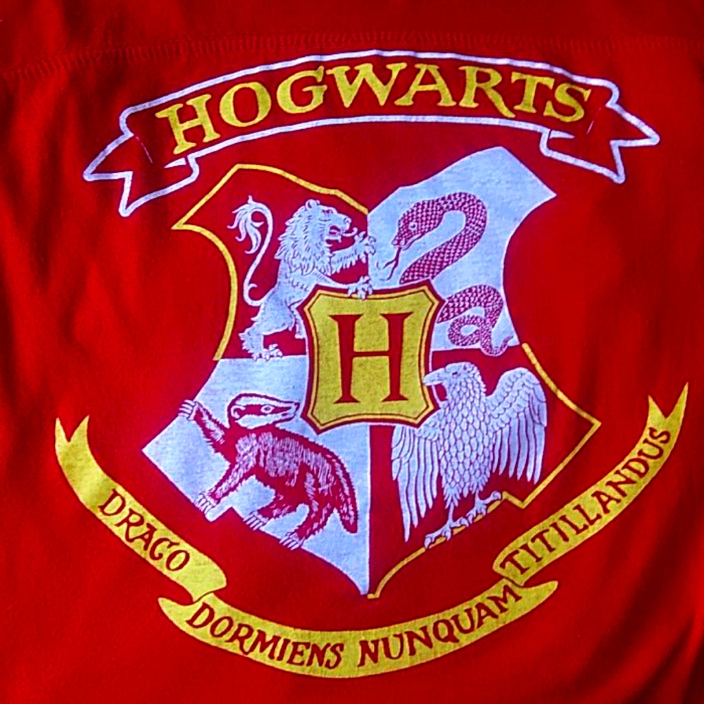 Harry Potter t shirt